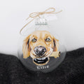 Custom Hand Painted Pet Ornament