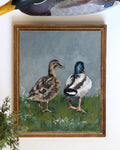Mallard Pair